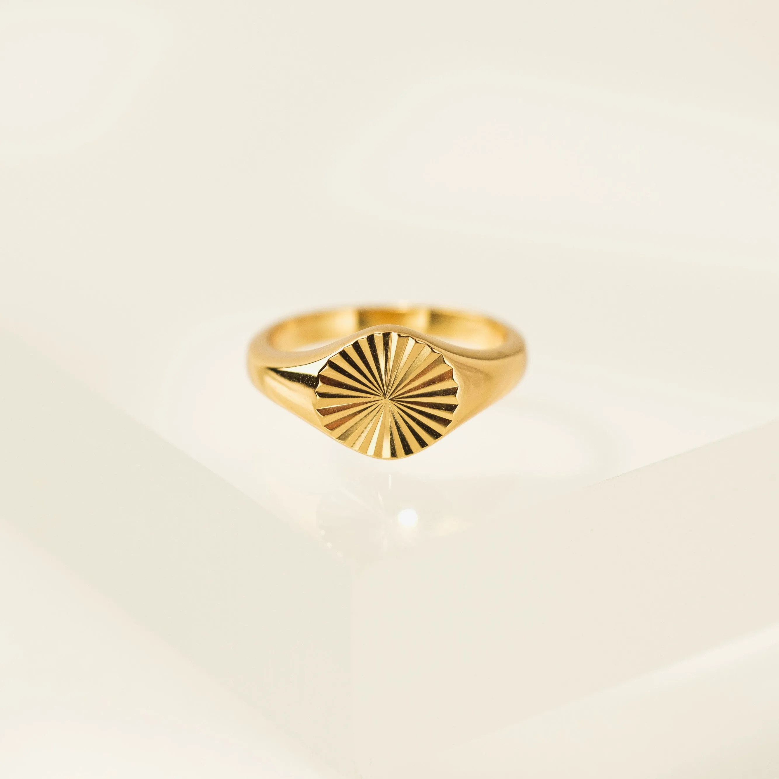 Coin Fluted Signet Ring